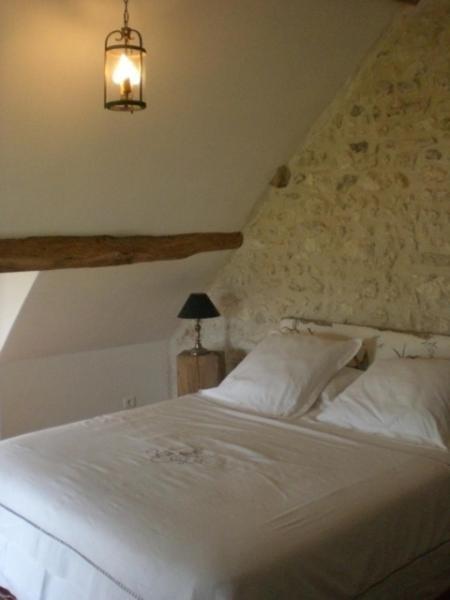 La Touche Menetou-sur-Nahon Quarto foto