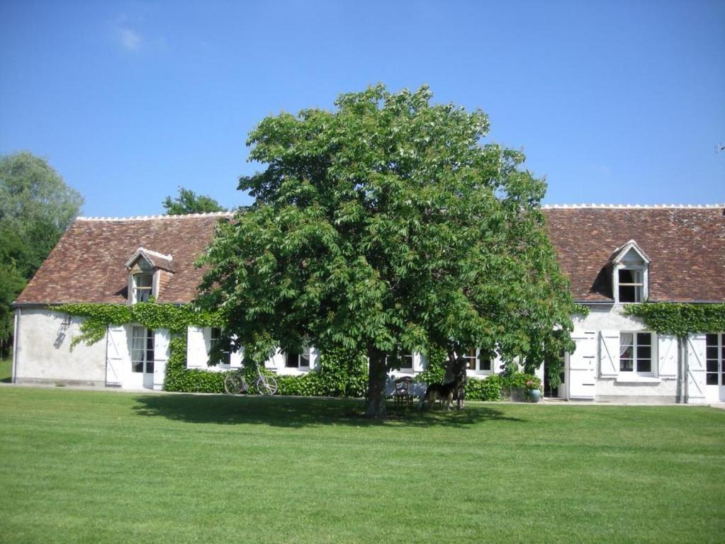 La Touche Menetou-sur-Nahon Exterior foto
